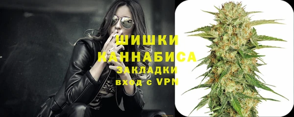 твердый Новодвинск