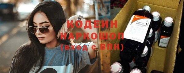 твердый Новодвинск