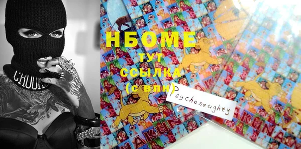 твердый Новодвинск