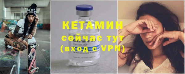 твердый Новодвинск