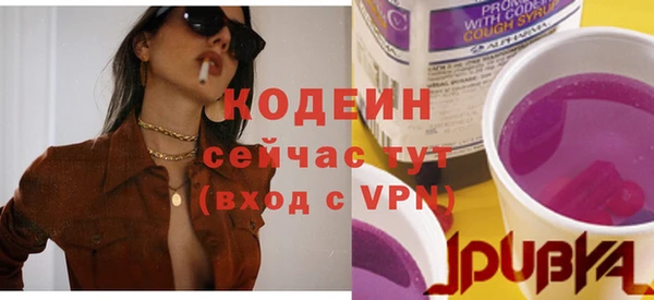 твердый Новодвинск