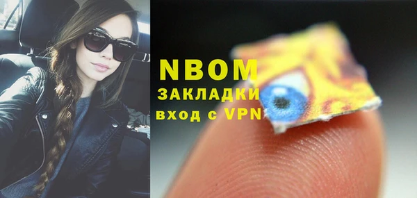 твердый Новодвинск