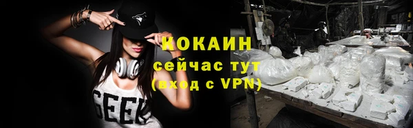 твердый Новодвинск