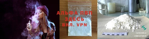твердый Новодвинск