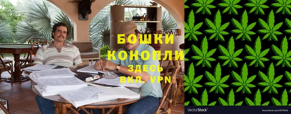 твердый Новодвинск