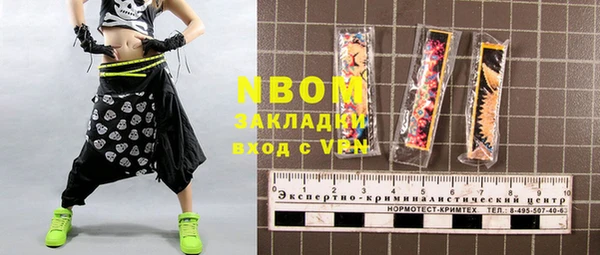 твердый Новодвинск