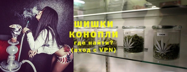 твердый Новодвинск