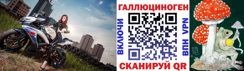 Купить где  Чекалин  Псилоцибиновые грибы MAGIC MUSHROOMS 